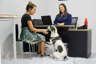 MedCani Clinica Veterinária, foto 6