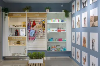MedCani Clinica Veterinária, foto 3