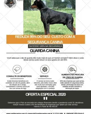 Canil Arcanine Locação de Cães de Guarda para Segurança, foto 6