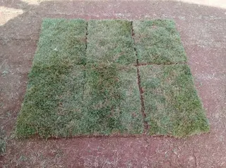Gramas Área Verde, foto 7