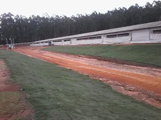 Gramas Área Verde, foto 6