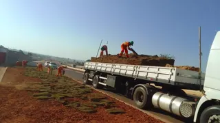 Gramas Área Verde, foto 3