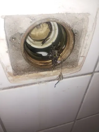 ATAF Serviços Marido de Aluguel, foto 3