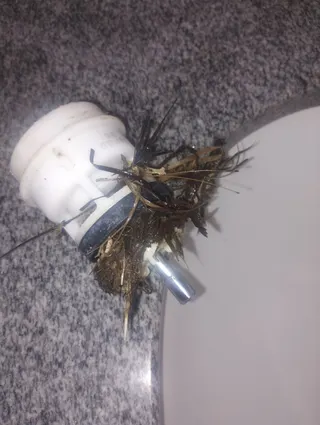 ATAF Serviços Marido de Aluguel, foto 2