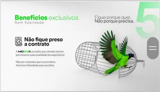 Movva Brasil, foto 4