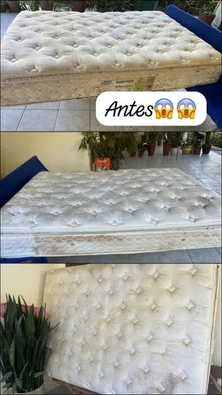 Lore Clean Higienização Residencial e Pós Obra, foto 6