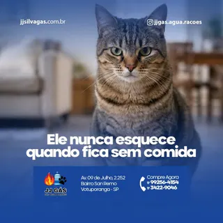 JJ Gás, Água e Ração, foto 4