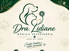 Logo da MV Lidiane Helena