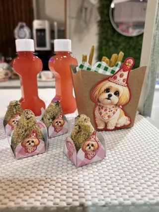 Pipoka Bistrô Pet, foto 1