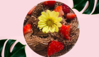 Foto Mousse de brigadeiro Vegano