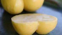 Foto Queijo Scamorza Natural de Búfala