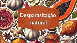 Benefícios do Detox e desparasitação 