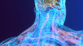 Foto: A Conexão entre Corpo e Emoções: Entendendo as Reações Físicas