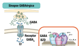 Os Benefícios do GABA