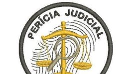 O Perito Judicial: Auxiliando a Justiça com conhecimento técnico.
