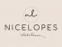 Logo - Nice Lopes Art Decor