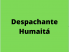 Logo - Despachante Humaitá 