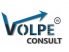 Logo - Volpe Consult Coaching e Mentoring