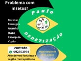 Logo - Paulo Dedetização