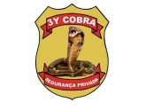 Logo - 3y Cobra Segurança e Serviços